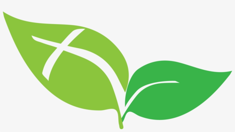 Dp Leaves Icon, transparent png