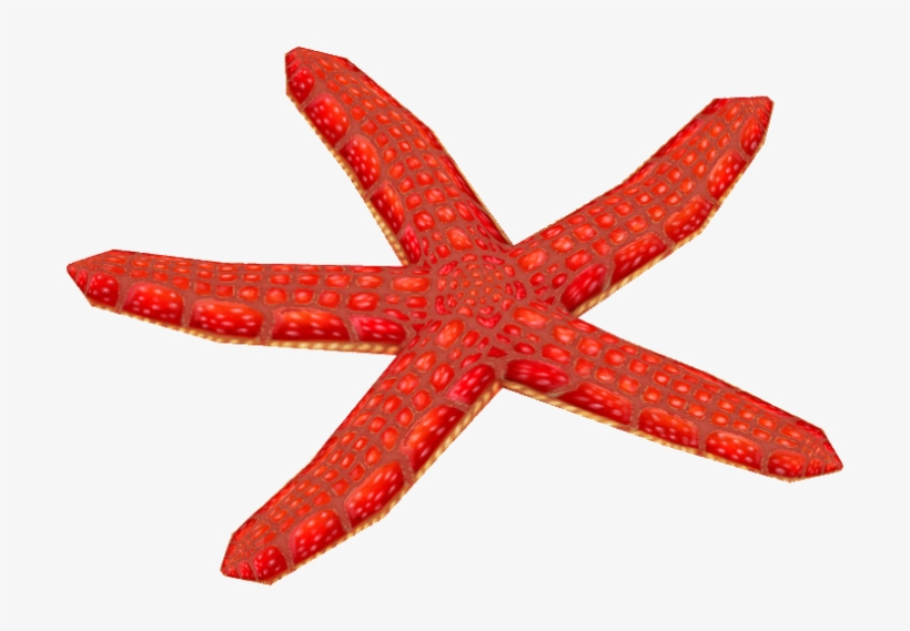 Red Mesh Starfish - Wiki, transparent png
