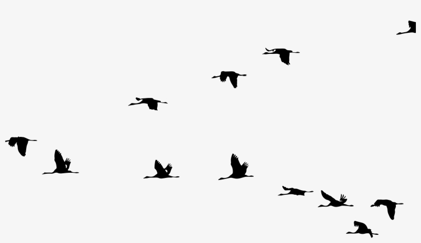 This Free Icons Png Design Of Cranes Flying In Formation, transparent png
