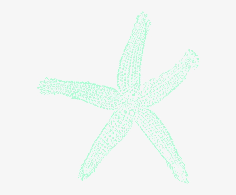 How To Set Use Tealgreen Starfish Clipart, transparent png
