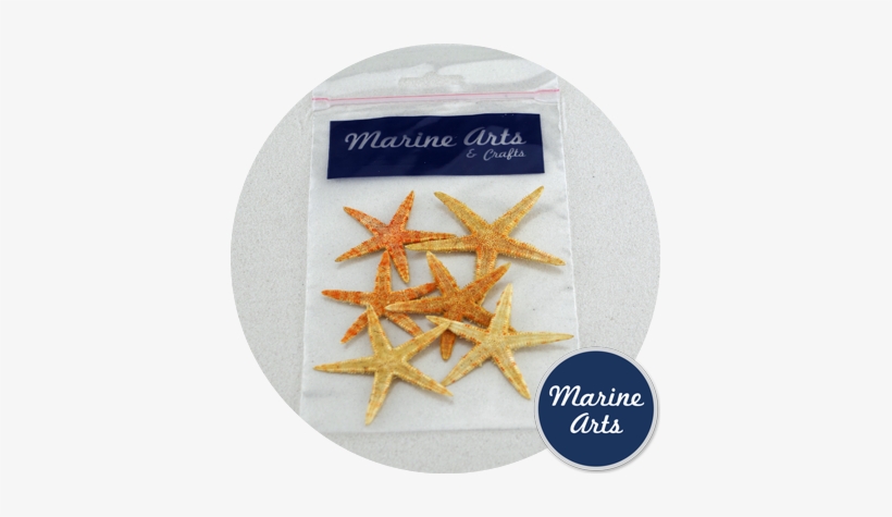 Hobby - Hobbycraft, transparent png