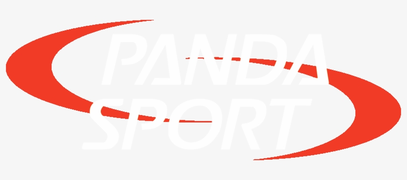 Panda Snowboard And Ski Stores And Customized Ski Shop - New York City, transparent png