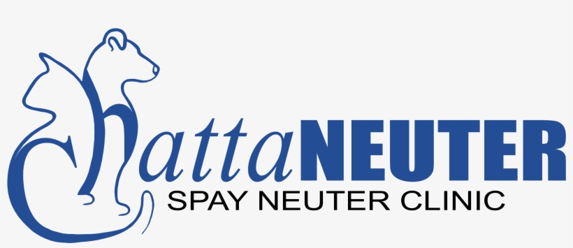 Subscribe To Our Newsletter - Contego Medical, Llc, transparent png