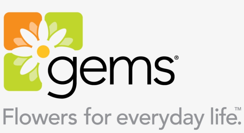 Publix Courts Hispanics With Flowers - Gems Group, transparent png