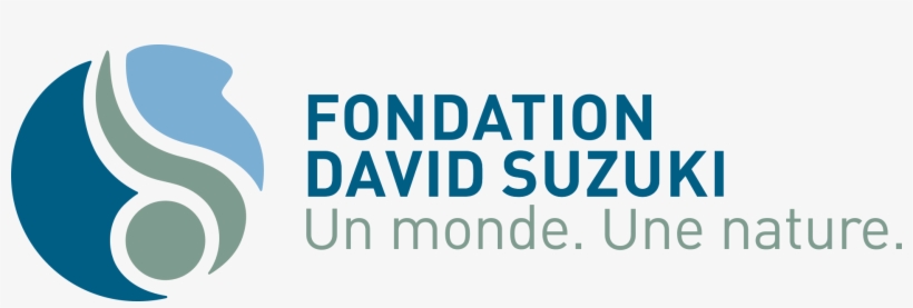 For More Information On The David Suzuki Foundation - David Suzuki Foundation Logo, transparent png