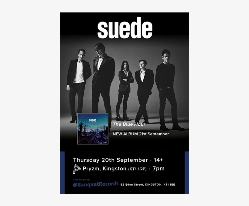 S200918-ns - Suede Don T Be Afraid If Nobody Loves You, transparent png