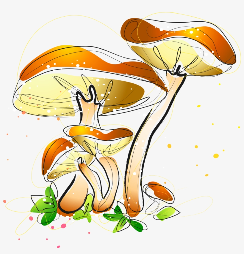 Watercolor Painting Mushroom Fungus Illustration - Watercolor Painting, transparent png