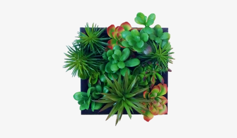 Faux Succulent Living Wall, transparent png