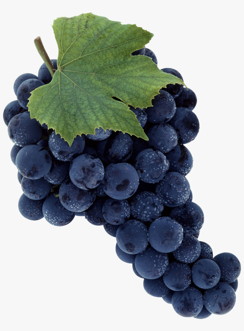 Black Grapes Png Image - Sadlier We Believe, Parish Edition: Jesus Shares God's, transparent png