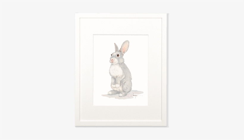Baby Rabbit Wall Art - Domestic Rabbit, transparent png