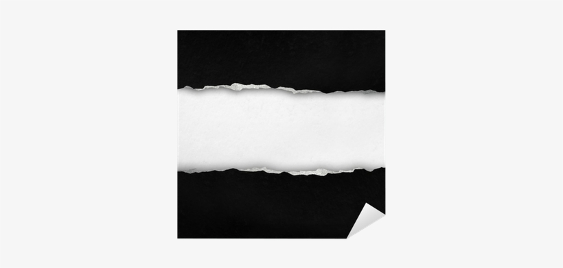 Monochrome, transparent png
