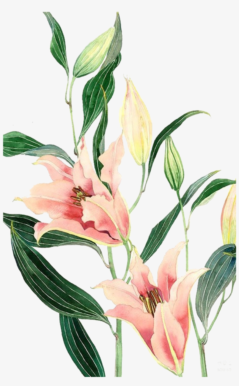 Desktop Wallpaper Watercolor Painting, transparent png
