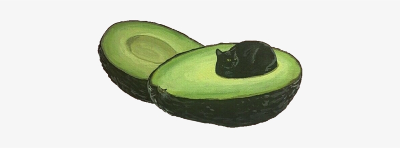 Galaxy Transparent Cat - Avocado Cat, transparent png