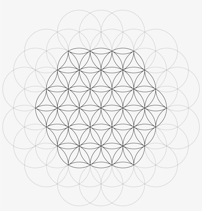 Flower Of Life Class - Circle, transparent png