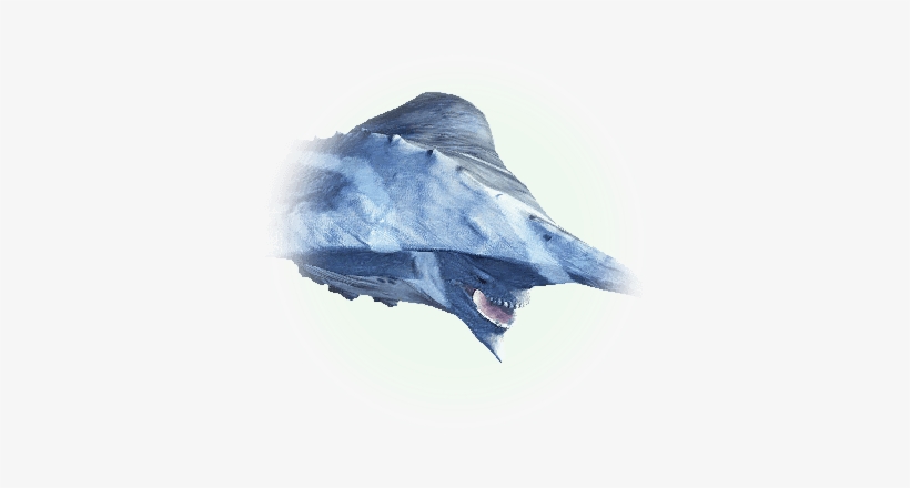 Oceanic Creatures - Bdo Nineshark, transparent png