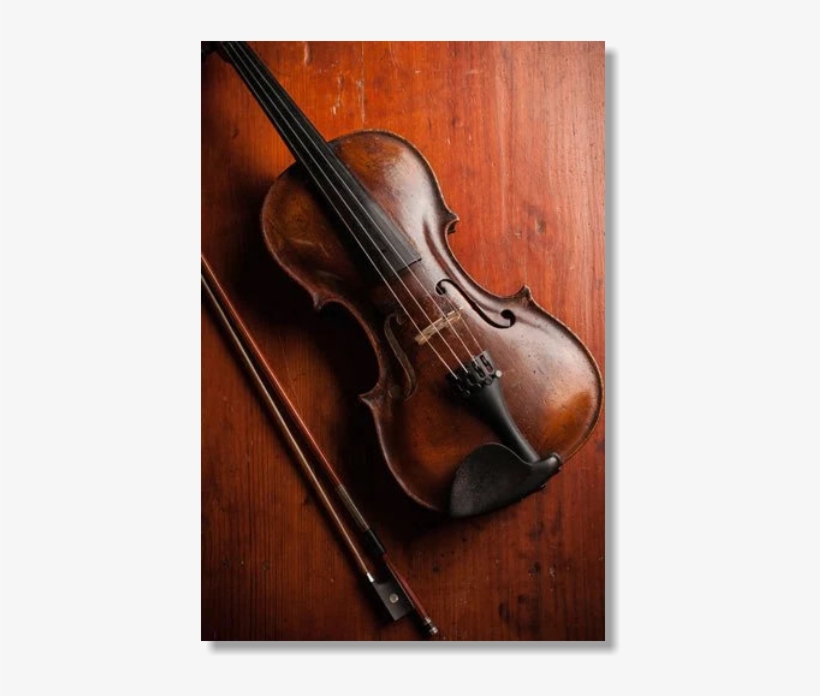 Christmas Memories - Viola, transparent png
