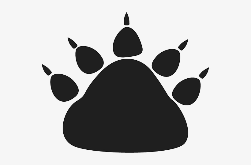 Vector Bear Paw - Bear Paw No Background, transparent png