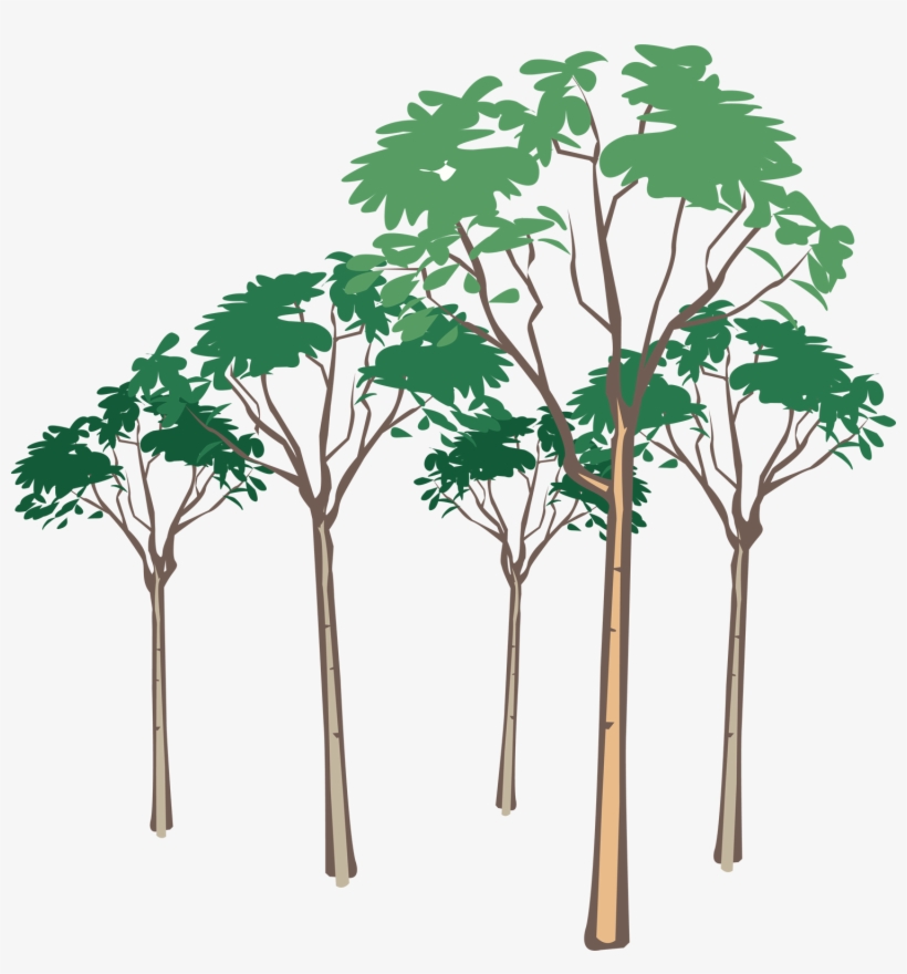 Free Tree Vector Art - Modern Green Tree 29 Shower Curtain, transparent png