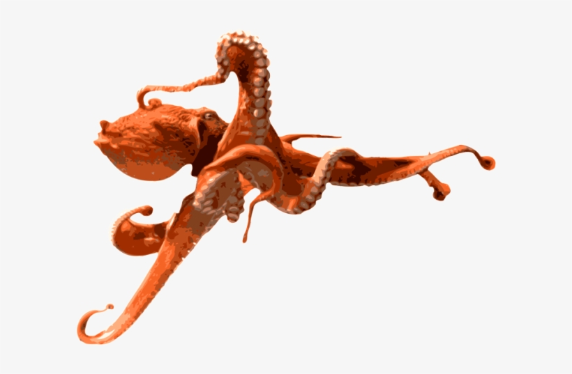 Octopus Png Clipart - Octopus Png, transparent png