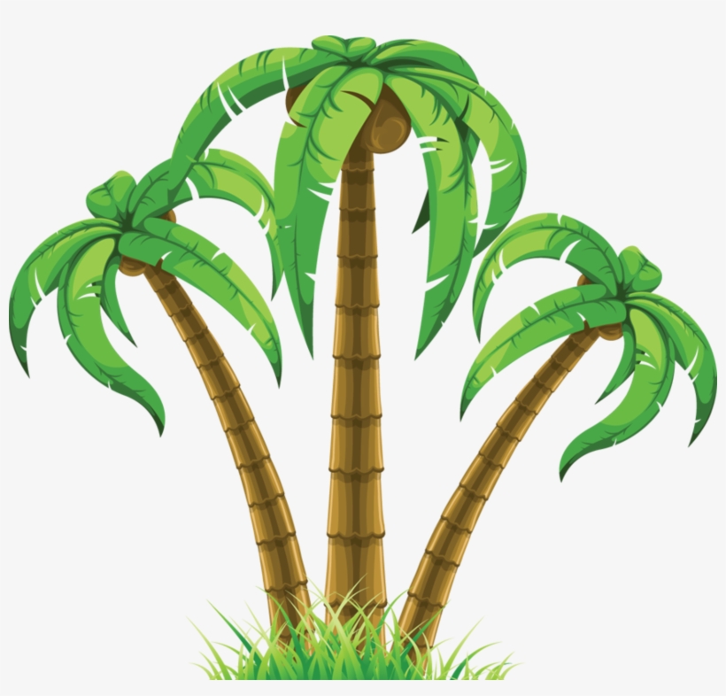 Transparent Pictures Free Icons - Palm Trees Clip Art Png, transparent png