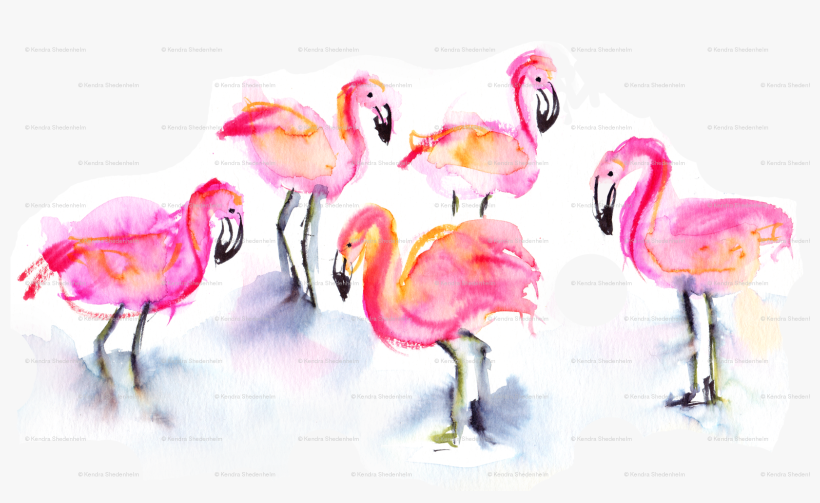 Greater Flamingo, transparent png