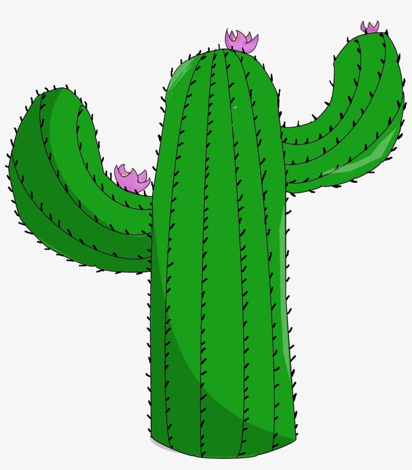 Cactus - Cactus Png, transparent png
