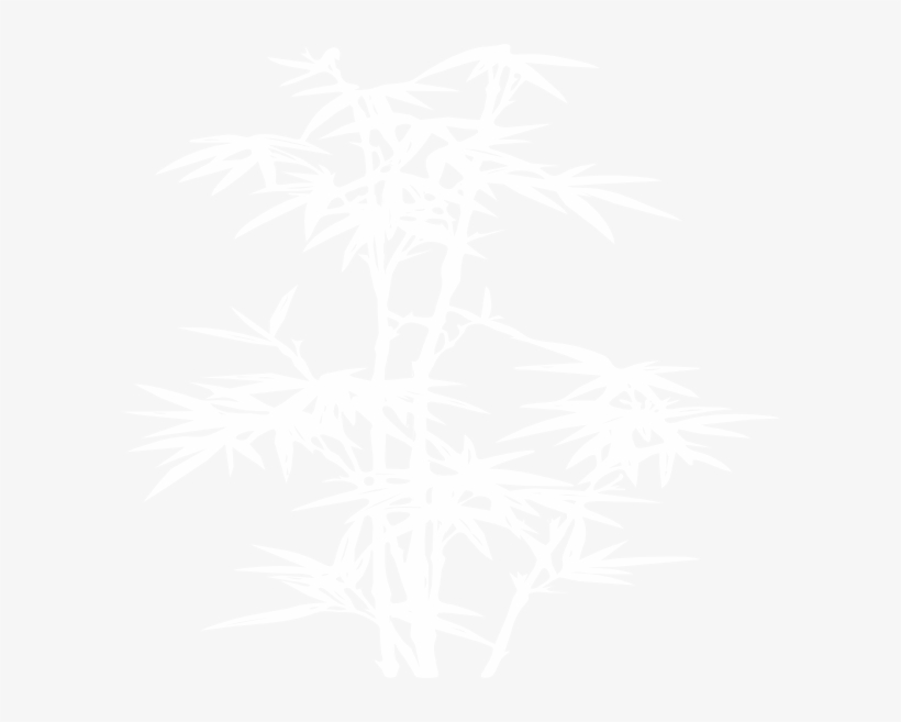 Small - Bamboo Vector Black And White Png, transparent png