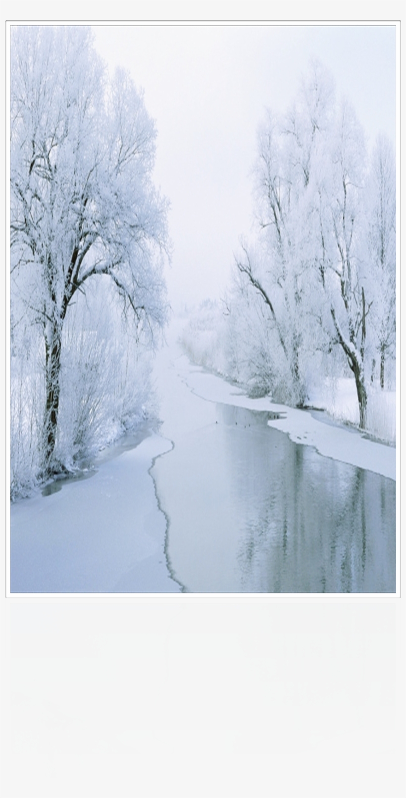 Beginning November "frosty Forest" All Designs Are - Snow Bridge, transparent png