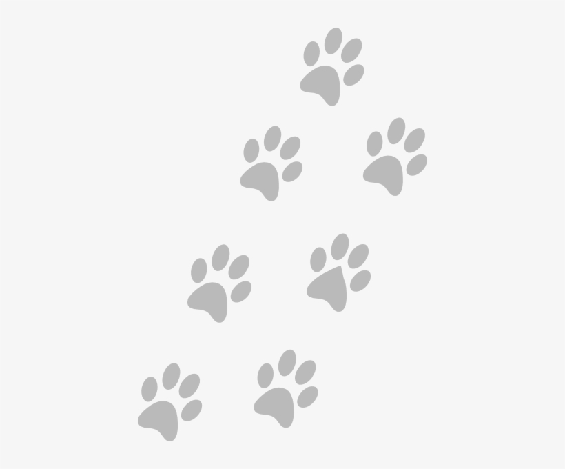 Grey Paws Clip Art - Background Pata De Gato, transparent png