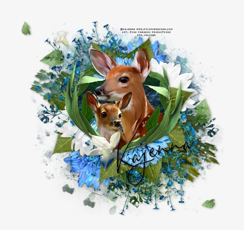 Oh Baby Deer Tag - Roe Deer, transparent png