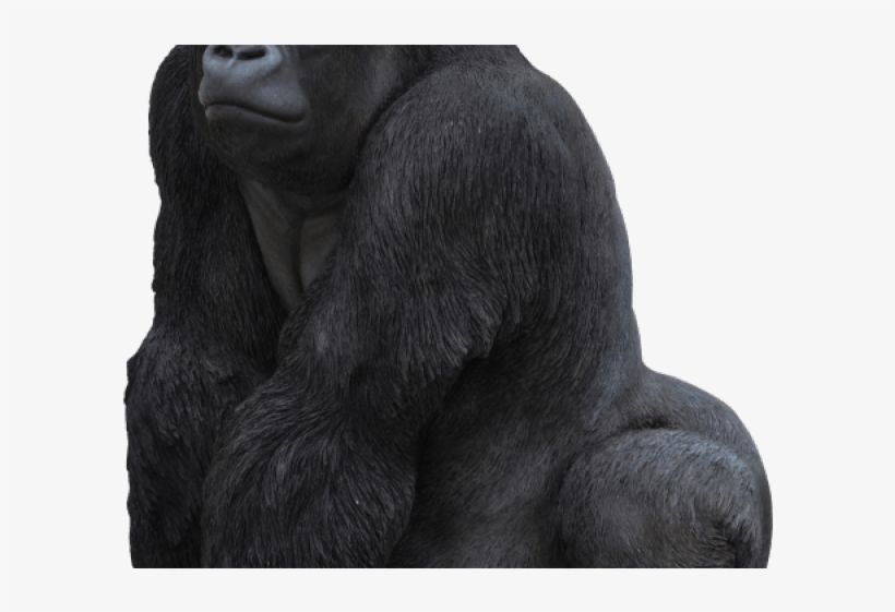 Gorilla Png Transparent Images - Vivid Arts 27.5cm Gorilla Resin Ornament - Xrl-grla-b, transparent png