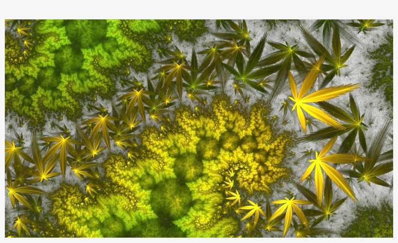 Why Do Marijuana Leaves Turn Yellow - Bud Leaves Turning Yellow, transparent png