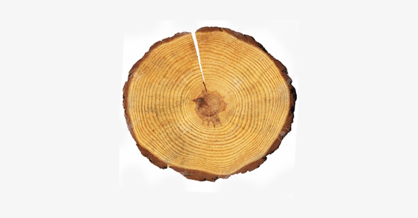 Export Solutions - Wooden Circle, transparent png