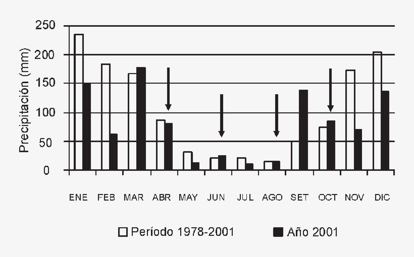 Precipitaciones Medias Mensuales De La Localidad De - Sheet Music, transparent png