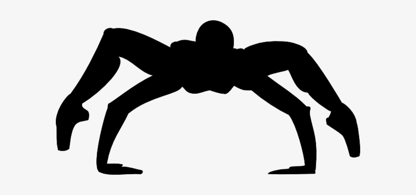 Die Schwarze Spinne, transparent png