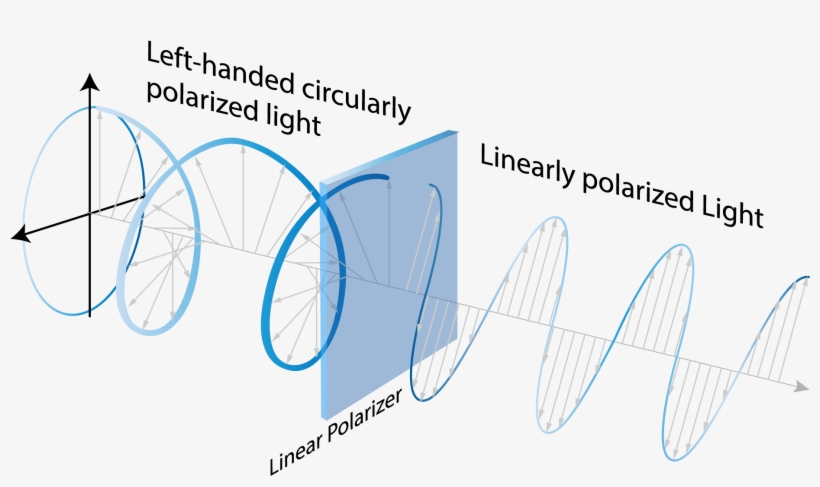 Polarization Is A Description Of The Orientation Of - Light, transparent png