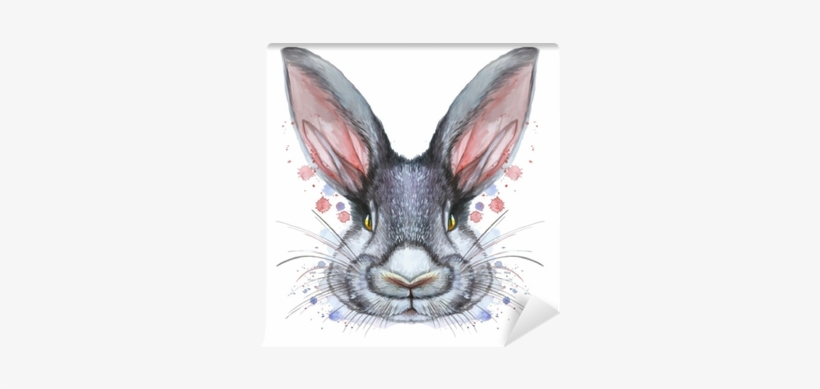 Painted Drawing With Watercolor Portrait Of An Animal - Kanin Tegning, transparent png