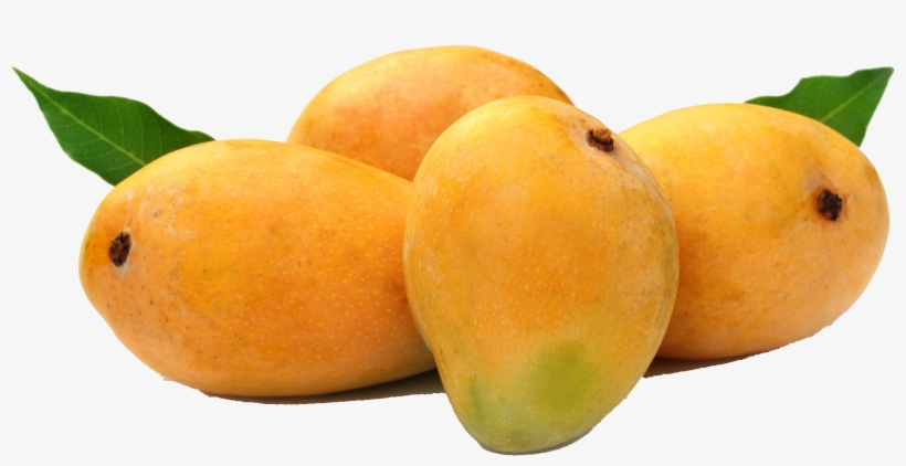 Mango Alphonso, transparent png