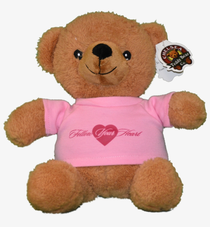 Rare Pic Teddy Bear, transparent png
