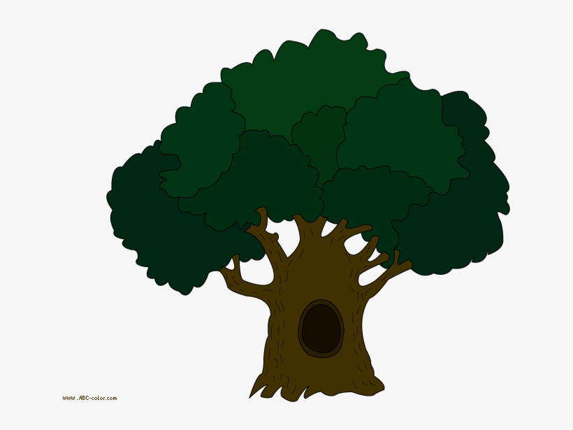 Download Bitmap Picture Oak Tree - Tree Clipart - 822x567 PNG Download ...