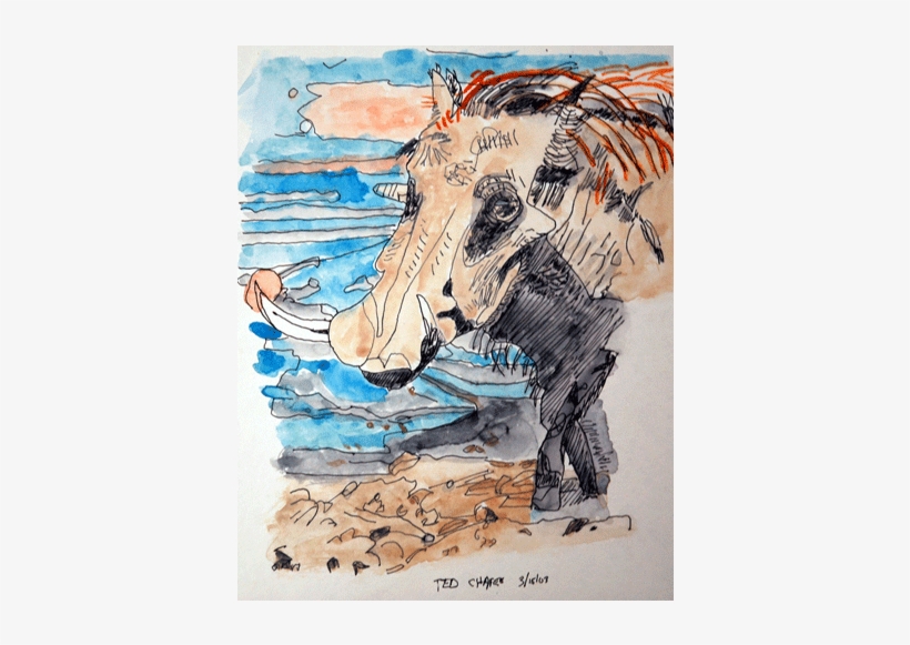 Watercolor Animal - Sketch, transparent png