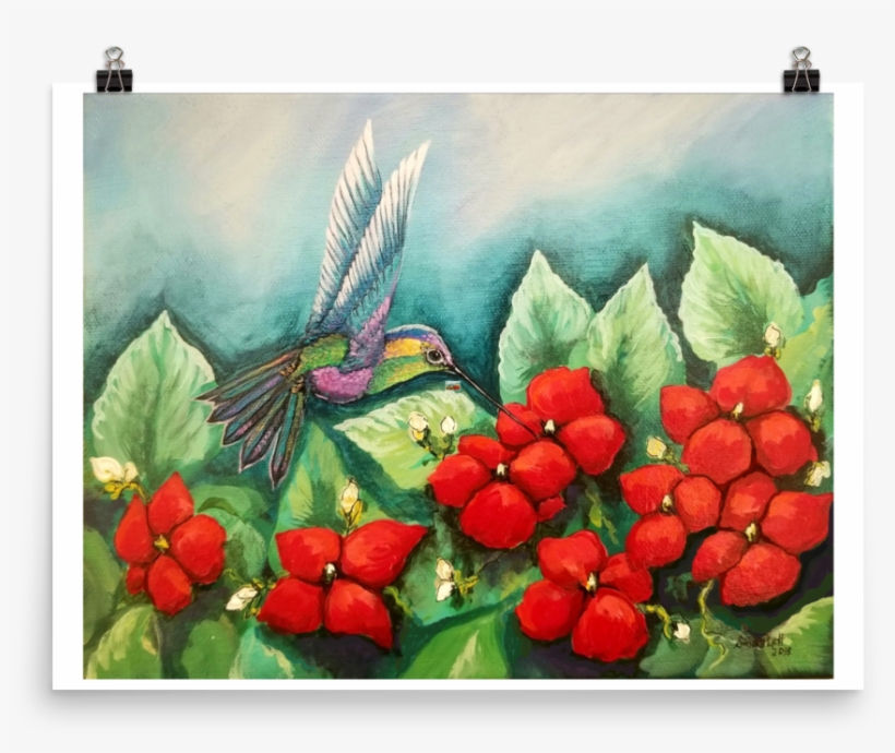 Humming Impatiens, Print On Premium Luster Photo Paper - Art, transparent png