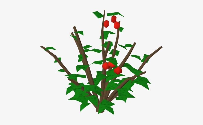 Redberry Bush Runescape Wiki Fandom Powered By - Berry Bush Transparent Background, transparent png