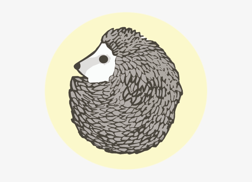 Hedgehog, transparent png