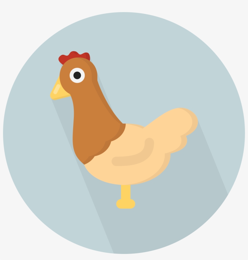 Chickens Clipart Tail - Chicken Flat Icon Png, transparent png