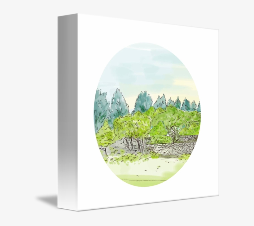 Trees In Park With Cornwall Oval Watercolor By Aloysius - Watercolor Painting, transparent png
