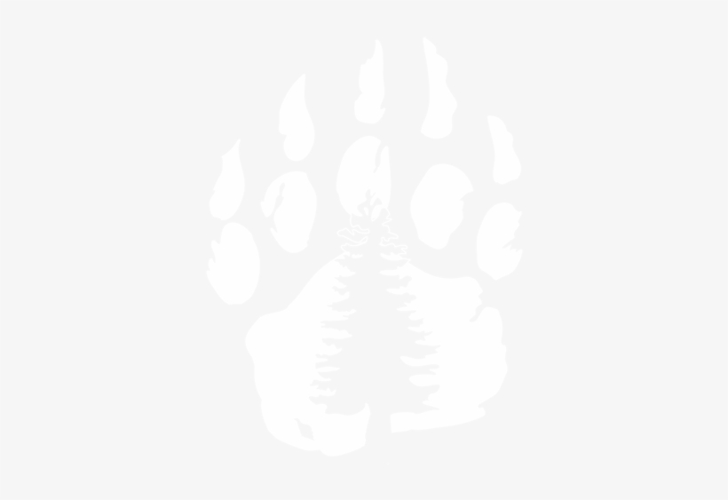 Camp Winnipesaukee, transparent png