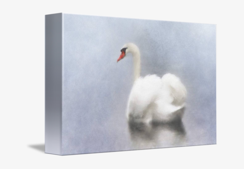 Swan Watercolor - Watercolor Painting, transparent png