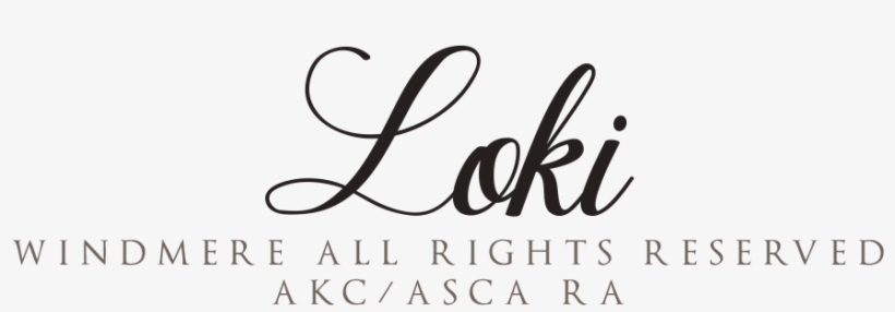 "loki" Windmere All Rights Reserved, Is My Daughter - Calligraphy, transparent png