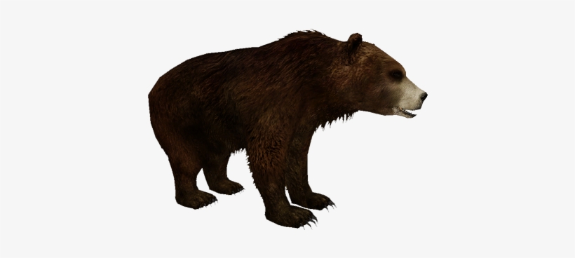 Cave Bear - Kodiak Bear Zt2, transparent png